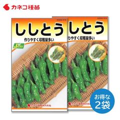 ししとう 種 ２袋セット 早生 甘く風味が良い たくさん獲れる 家庭菜園 野菜の種 畑 カネコ種苗