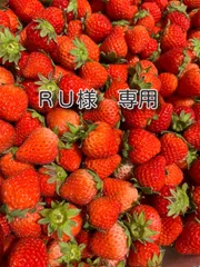 ＲＵ様　専用