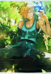 ロビン・フッド 3枚 ロビン・フッド | HMV&BOOKS online - GNXF-1607