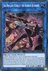 遊戯王 - 戎　フェリジット Amazon.co.jp: 遊戯王カード 鉄獣戦線 徒花のフェリジット