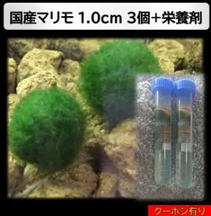 2025年最新】まりものお食事の人気アイテム - メルカリ