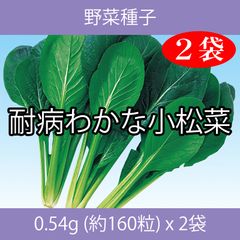 野菜種子 EBV 耐病わかな小松菜 0.54g(約160粒) x 2袋