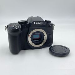 パナソニック Panasonic LUMIX  DMC-G8 ボディ【C4441-60】
