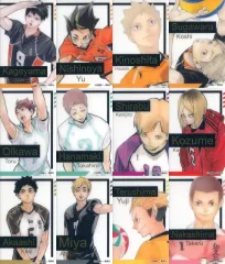 【中古】キャラカード Bセット 「ハイキュー!! FAN PARK(ファンパーク) 箔押しクリアカードコレクション 12枚セット」