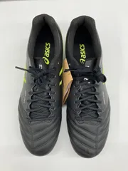 アシックス DS LIGHT XｰFLY PRO 1101A025-005