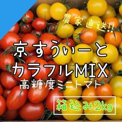 【京すうぃーとMIX2kg】京都産 高糖度 フルーツミニトマト 箱込み2㎏