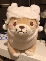 忠犬もちしば