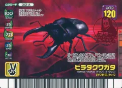 2025年最新】ムシキングフォレストグリーンの人気アイテム - メルカリ