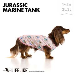 【ジュラシックマリンタンク1-4号2L-3L／ピンク】ドッグウェア タンク 逆開ファスナー 背開き 小型犬 中型犬 犬 服 春 夏 海 モチーフ 恐竜 かわいい おしゃれ 犬の服 ペット服 犬服 ペット 洋服 LIFELIKE［返品不可・サイズ交換可］