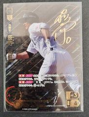 ドリームオーダー　vol.2　荻野貴司　SSP　1枚