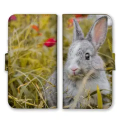 OPPO Reno 13A ケース 手帳型 オッポリノ 13A スマホケース 携帯ケース ウサギ 兎 うさぎ 子兎 ネザーランドドワーフ 写真 可愛い 自然 野うさぎ カラー02