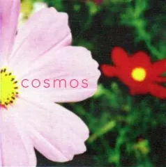 新品未開封 廃盤 CD 上原和夫 コスモス COSMOS 1 ライブ・アルバム 高品質】 新品未開封 廃盤 CD 上原和夫 コスモス COSMOS 1