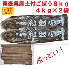 青森県産　土付き　ごぼう　　L～３L　８ｋｇ　（４ｋｇ×２袋）　送料無料！