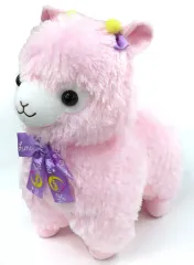 2025年最新】アルパカッソ ピンクの人気アイテム - メルカリ