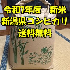 農家直売！令和七年産南魚沼産 コシヒカリ30キロ - メルカリ