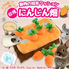 fuu 動物の知育クッション 収穫にんじん畑 NEW えさ探し おやつ隠し ノーズワーク 犬 猫 うさぎ チンチラ フェレット モルモット デグー