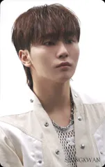 SEVENTEEN SEUNGKWAN FACE THE SUN CARAT HMV トレーディングカード