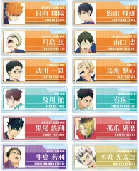 【新品】バッジ・ビンズ 【BOX】ハイキュー!! トレーディング Ani-Art 第7弾 アクリルネームプレート