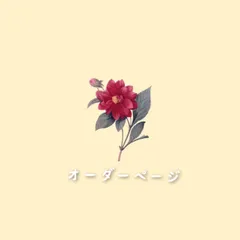 NOZORI様専用