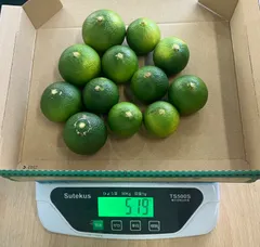 宮崎県産 へべす 5キロ B品 へべす