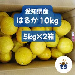 【愛知県産】 はるか 5kg×2 10kg