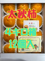 【太秋柿】６箱セット