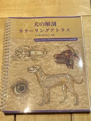 2025年最新】犬の解剖 アトラスの人気アイテム - メルカリ