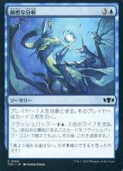 MTG 綿密な分析 Deep Analysis 日本語 4枚 - メルカリ