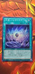 遊戯王　遊戯王デュエルモンスターズ　遊戯王ワールドプレミアムパック2024　神域バ=ティスティナ　シク１枚