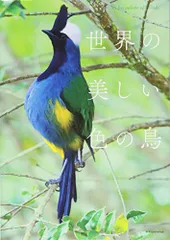 【大幅値下げ】G.V.G.V. ジーヴィジーヴィ 長袖トップス 鳥模様 透け感 G.V.G.V. ジーヴィジーヴィ 長袖トップス 鳥模様 透け感