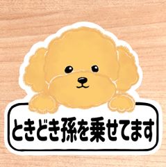 ときどき孫を乗せてます【トイプードル.ボード】マグネットタイプ