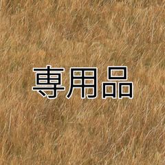 専用品ページ  【りんごのかじり木吊るすタイプ×5点セット】