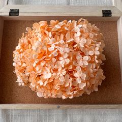プリザーブドフラワー アンデスアジサイ 約18g (シャーベットオレンジ)  FL 未使用品 紫陽花 ヘッド