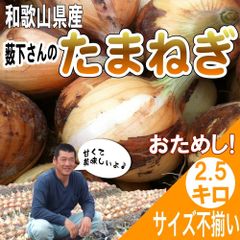 【予約】【お試し】和歌山県産 薮下さんの特別栽培 新たまねぎ 新玉葱 訳あり 2.5ｋｇ ※発送時期: 5月中下旬より順次発送開始予定