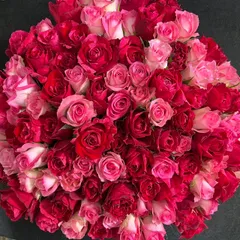 ＊赤とピンクの花束＊　30㎝ ✖️100本　ラッピング込み　還暦・プロポーズ・誕生日　産地直送！鮮度抜群！　薔薇　花束　切り花　生花