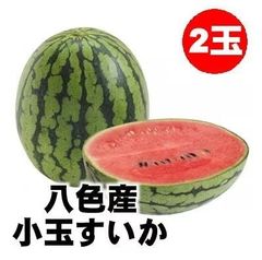 【予約受付中　７月下旬から発送開始】八色産小玉すいか2個新潟県魚沼八色地方限定