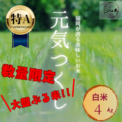 【大盤ぶる米】元気つくし 4kg 白米 お米 6年産