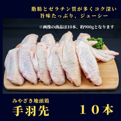 みやざき地頭鶏（じとっこ）／手羽先 10本／冷凍