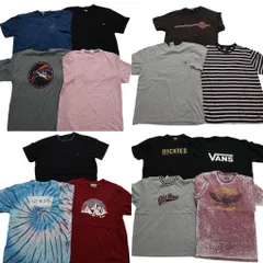 古着卸 まとめ売り ブランドMIX 半袖Tシャツ 14枚セット (メンズ L ) ディッキーズ リーバイス トミー サンタクルーズ 中古 古着 NB3735