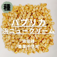 【種】パプリカ　浜ニュークリーム　農薬不使用　15粒