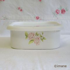 ﾀﾞｲｱﾅﾛｰｽﾞ ﾎｰﾛｰ