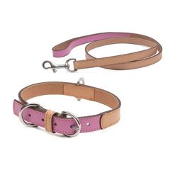 犬の首輪】ミントグリーン x ベージュ (バイカラー) ティファニー