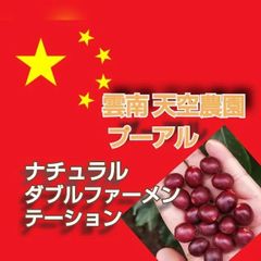 雲南 天空農園 プーアル　ナチュラルダブルファーメンテーション★雲南省★スペシャリティコーヒー　100g入り★自家焙煎コーヒー豆★エムリバーサイドコーヒー★