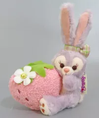 2025年最新】ステラルーいちごの人気アイテム - メルカリ