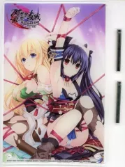 【中古】アクリルスタンド・アクリルパネル [単品] ノワール＆ベール A5アクリルスタンド 「Switchソフト 閃乱忍忍忍者大戦ネプテューヌ -少女達の響艶- WonderGOOオリジナル限定セット」 同梱特典