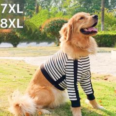 Item thumbnail for item c8fae8d6-2de3-4c1b-a2a6-65418ff0f599