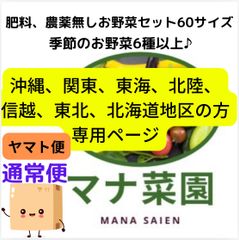 農薬化学肥料不使用。お野菜詰め合わせ60サイズ♪通常便🥗九州から遠い地方の方