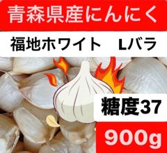 青森県産にんにく　福地ホワイト　Lバラ
