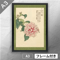 【絵画】ボタニカルアート　「ハマナデシコ」原画 絵画】ボタニカルアート 「ハマナデシコ」原画