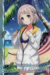 【中古】アニメ系トレカ No.22[ノーマル]：葛城 リーリヤ